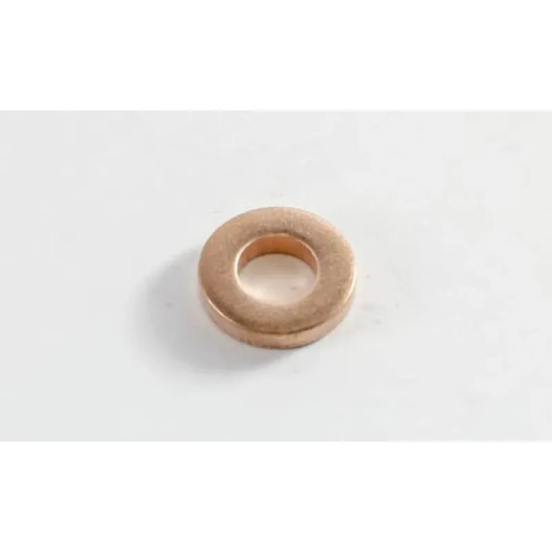 Golilla Inyector Delphi EJBR02901D/EJBR03701D A2C59517051 1465A041 9001-850A — Delphi