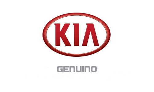 Inyector Genuino Kia Frontier 2.5 2012-2015 EURO 5 DELPHI 28229873 / 33800-4A710 - CentralTurbos